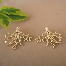 ARETES RAICES