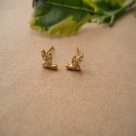 ARETES HOJITAS