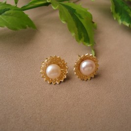 ARETES NIDO