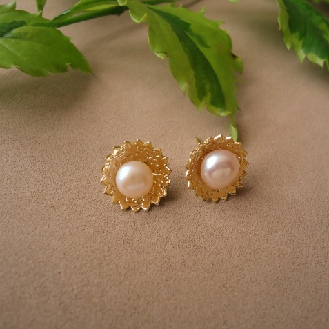 ARETES NIDO