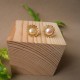 ARETES NIDO